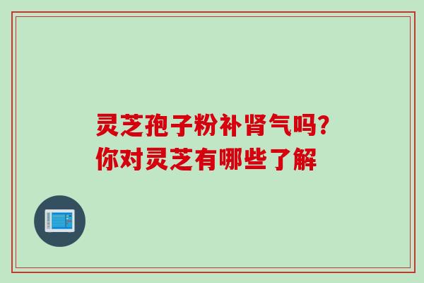 灵芝孢子粉补肾气吗？你对灵芝有哪些了解