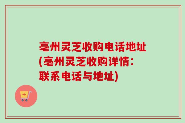 亳州灵芝收购电话地址(亳州灵芝收购详情：联系电话与地址)