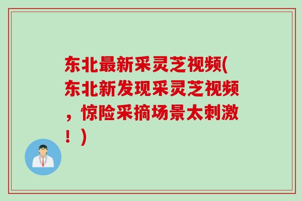 东北新采灵芝视频(东北新发现采灵芝视频，惊险采摘场景太刺激！)
