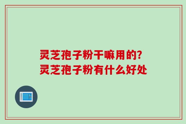 灵芝孢子粉干嘛用的？灵芝孢子粉有什么好处