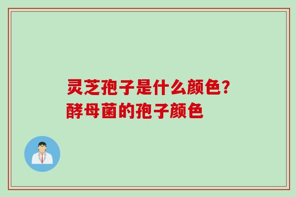 灵芝孢子是什么颜色？酵母菌的孢子颜色
