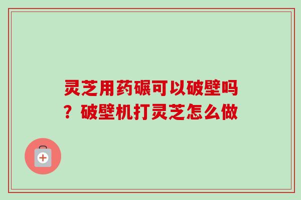 灵芝用药碾可以破壁吗？破壁机打灵芝怎么做