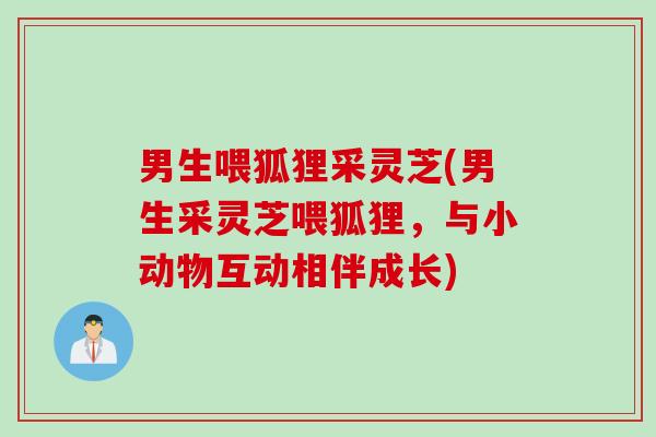 男生喂狐狸采灵芝(男生采灵芝喂狐狸，与小动物互动相伴成长)