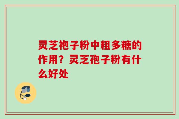 灵芝袍子粉中粗多糖的作用？灵芝孢子粉有什么好处