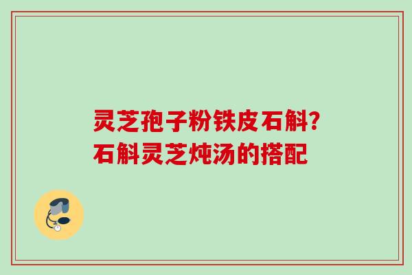 灵芝孢子粉铁皮石斛？石斛灵芝炖汤的搭配