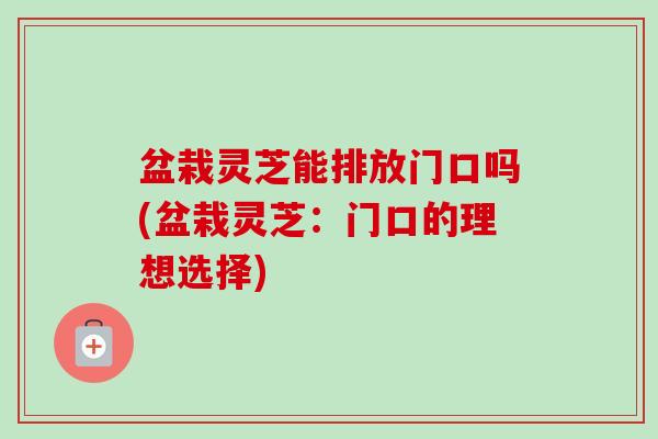 盆栽灵芝能排放门口吗(盆栽灵芝：门口的理想选择)