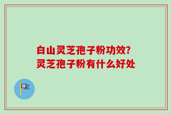 白山灵芝孢子粉功效？灵芝孢子粉有什么好处