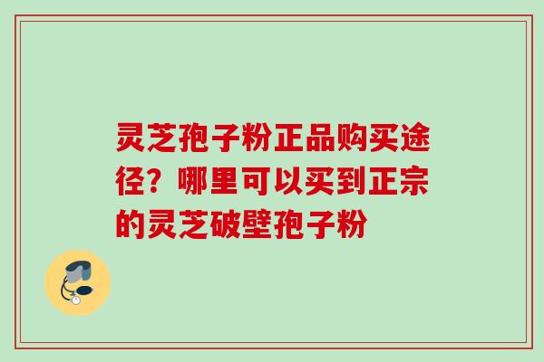 灵芝孢子粉正品购买途径？哪里可以买到正宗的灵芝破壁孢子粉