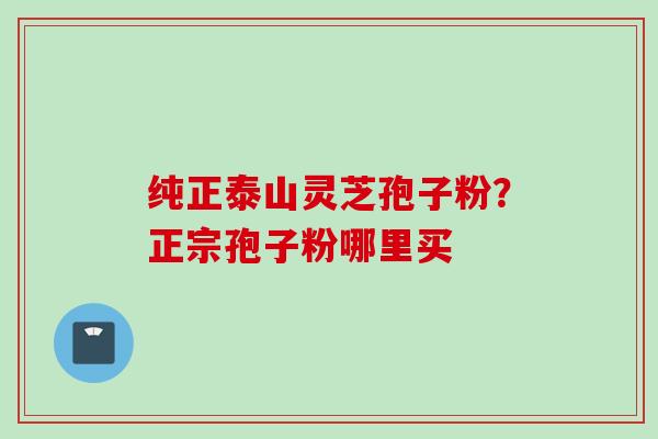 纯正泰山灵芝孢子粉？正宗孢子粉哪里买