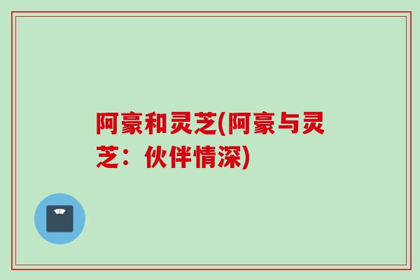 阿豪和灵芝(阿豪与灵芝：伙伴情深)