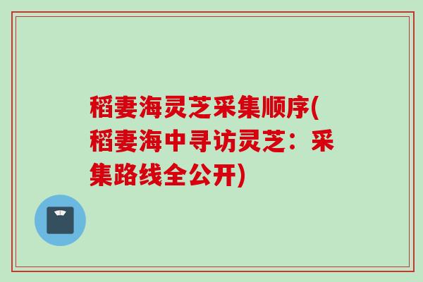 稻妻海灵芝采集顺序(稻妻海中寻访灵芝：采集路线全公开)