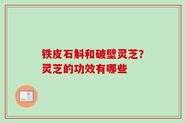 铁皮石斛和破壁灵芝？灵芝的功效有哪些