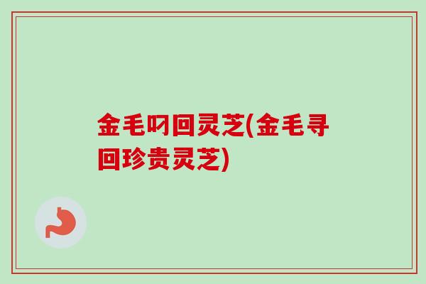 金毛叼回灵芝(金毛寻回珍贵灵芝)