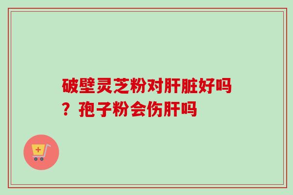 破壁灵芝粉对好吗？孢子粉会伤吗