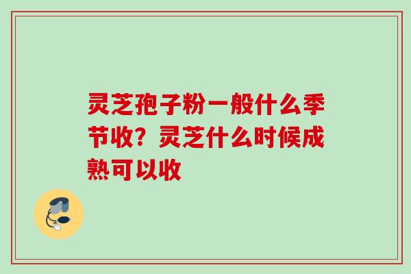 灵芝孢子粉一般什么季节收？灵芝什么时候成熟可以收