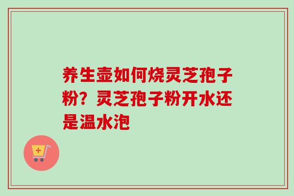 养生壶如何烧灵芝孢子粉？灵芝孢子粉开水还是温水泡