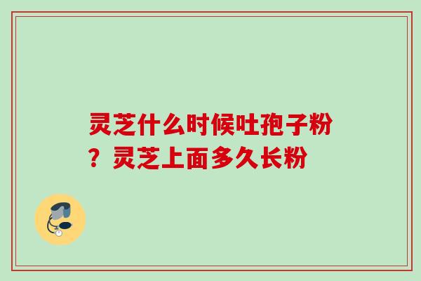 灵芝什么时候吐孢子粉？灵芝上面多久长粉