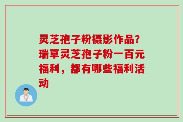 灵芝孢子粉摄影作品?瑞草灵芝孢子粉一百元福利,都有哪些福利活动 灵芝孢子粉摄影作品?瑞草灵芝孢子粉一百元福利,都有哪些福利活动