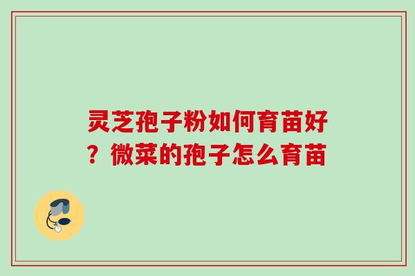 灵芝孢子粉如何育苗好？微菜的孢子怎么育苗