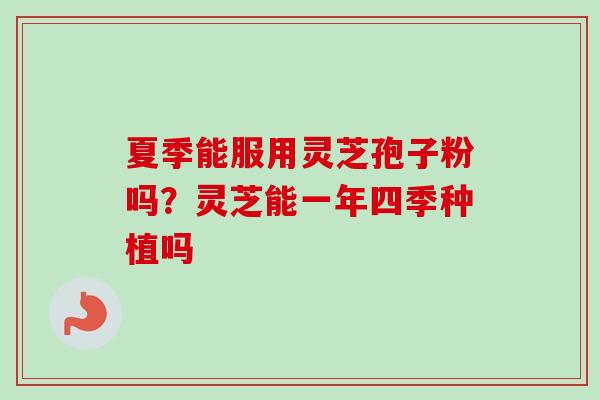 夏季能服用灵芝孢子粉吗？灵芝能一年四季种植吗