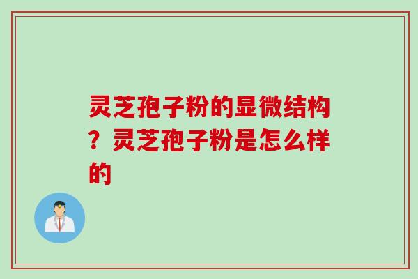 灵芝孢子粉的显微结构？灵芝孢子粉是怎么样的