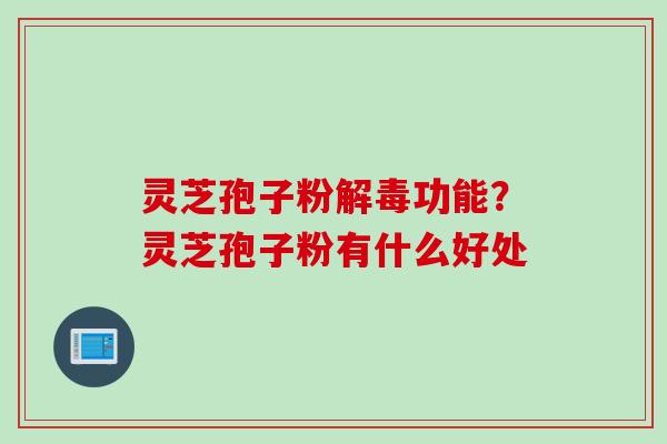 灵芝孢子粉功能？灵芝孢子粉有什么好处