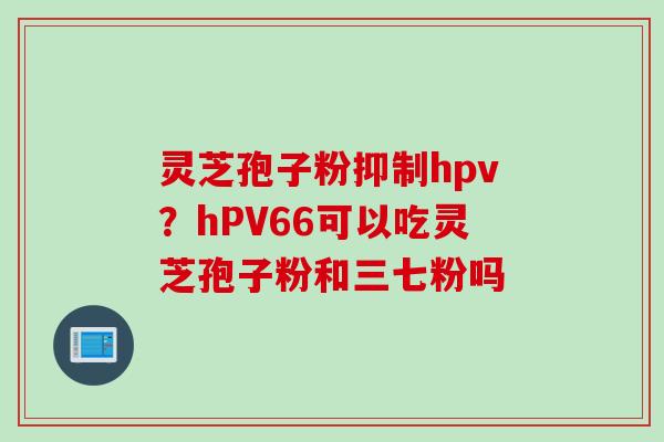灵芝孢子粉抑制hpv？hPV66可以吃灵芝孢子粉和三七粉吗
