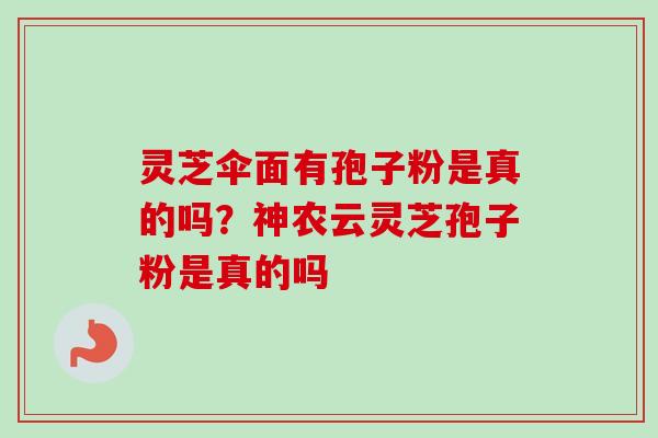 灵芝伞面有孢子粉是真的吗？神农云灵芝孢子粉是真的吗