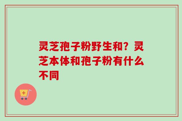 灵芝孢子粉野生和？灵芝本体和孢子粉有什么不同