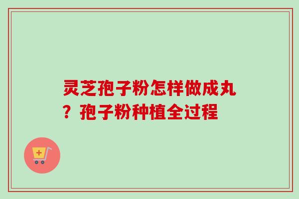 灵芝孢子粉怎样做成丸？孢子粉种植全过程