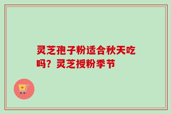 灵芝孢子粉适合秋天吃吗？灵芝授粉季节