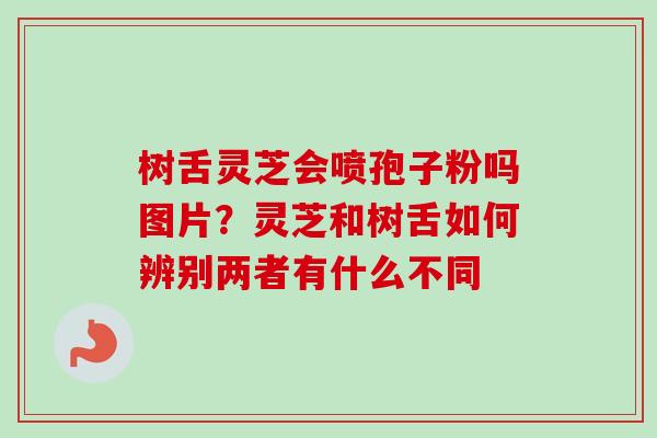 树舌灵芝会喷孢子粉吗图片？灵芝和树舌如何辨别两者有什么不同