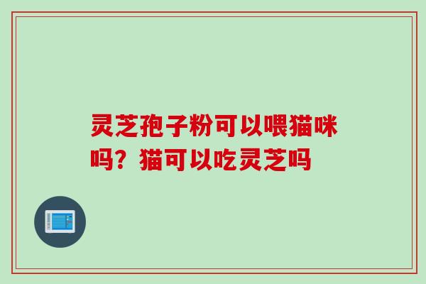 灵芝孢子粉可以喂猫咪吗？猫可以吃灵芝吗