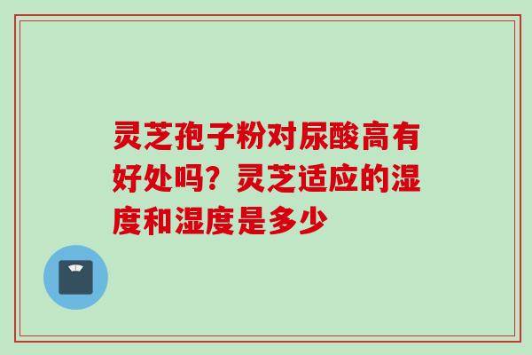 灵芝孢子粉对尿酸高有好处吗？灵芝适应的湿度和湿度是多少