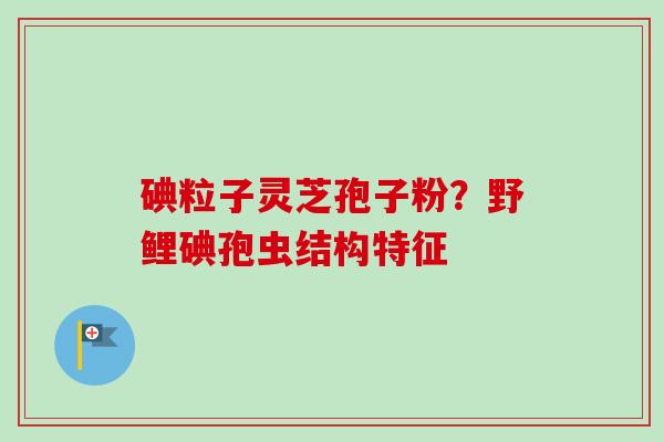 碘粒子灵芝孢子粉？野鲤碘孢虫结构特征