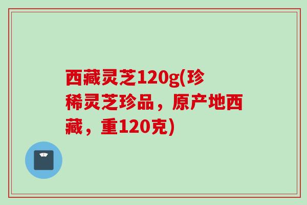 西藏灵芝120g(珍稀灵芝珍品，原产地西藏，重120克)