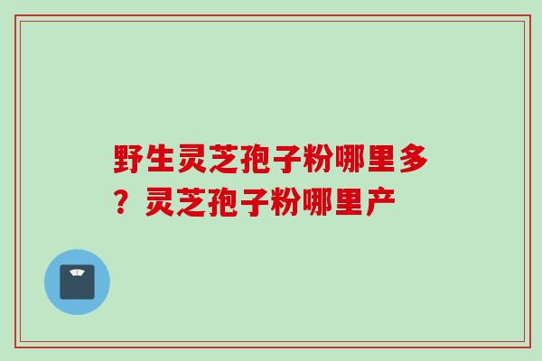 野生灵芝孢子粉哪里多？灵芝孢子粉哪里产