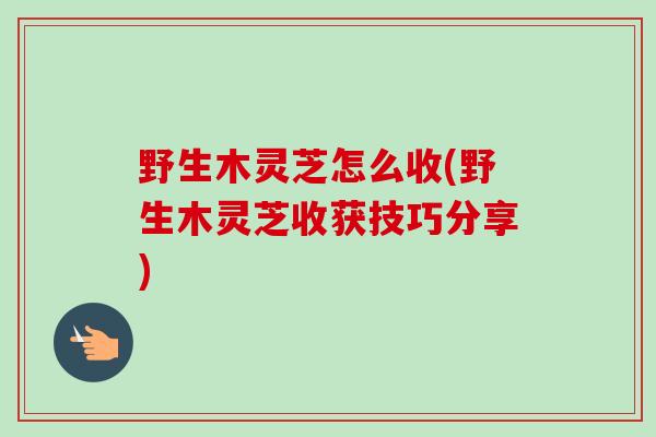 野生木灵芝怎么收(野生木灵芝收获技巧分享)