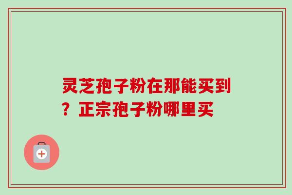 灵芝孢子粉在那能买到？正宗孢子粉哪里买
