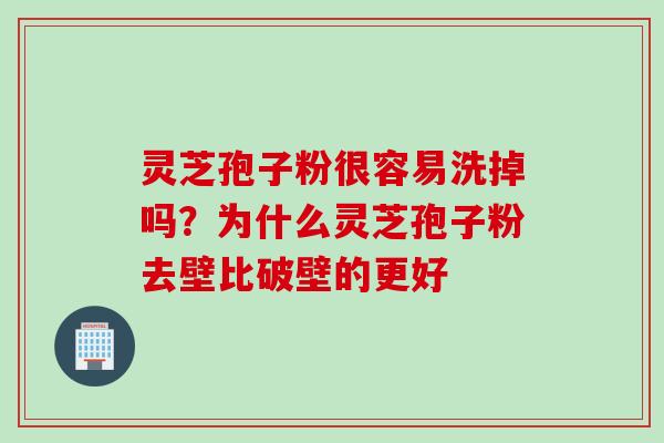 灵芝孢子粉很容易洗掉吗？为什么灵芝孢子粉去壁比破壁的更好