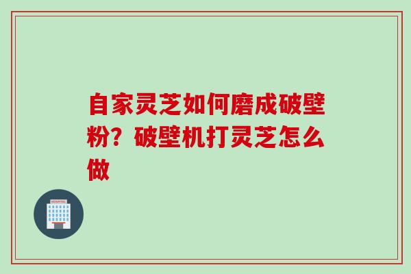 自家灵芝如何磨成破壁粉？破壁机打灵芝怎么做