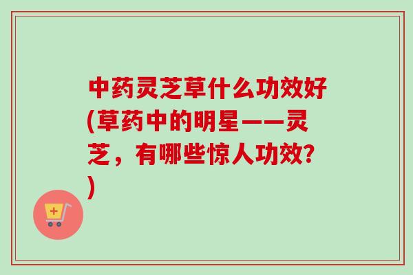 中药灵芝草什么功效好(草药中的明星——灵芝,有哪些惊人功效?)