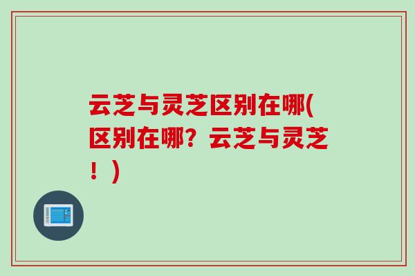 云芝与灵芝区别在哪(区别在哪？云芝与灵芝！)