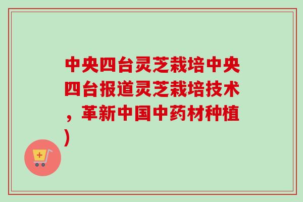 中央四台灵芝栽培中央四台报道灵芝栽培技术，革新中国中药材种植)