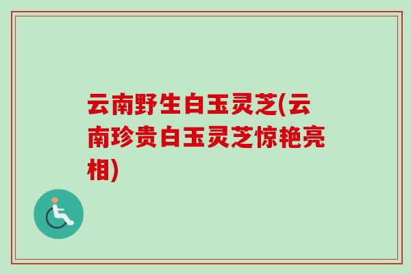云南野生白玉灵芝(云南珍贵白玉灵芝惊艳亮相)