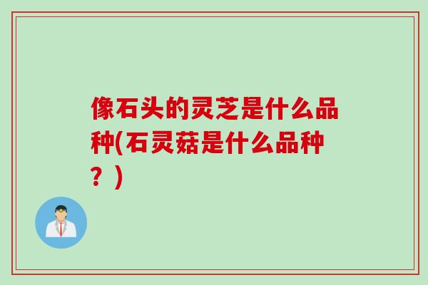 像石头的灵芝是什么品种(石灵菇是什么品种？)