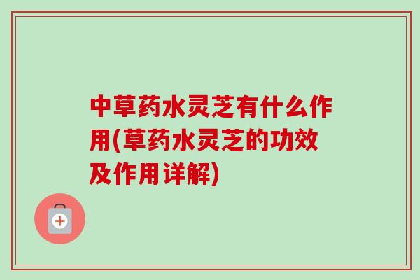 中草药水灵芝有什么作用(草药水灵芝的功效及作用详解)