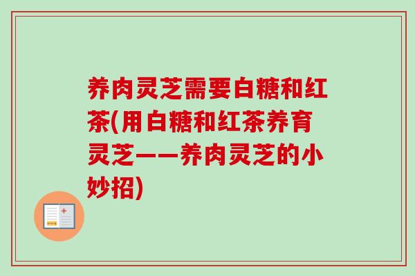 养肉灵芝需要白糖和红茶(用白糖和红茶养育灵芝——养肉灵芝的小妙招)