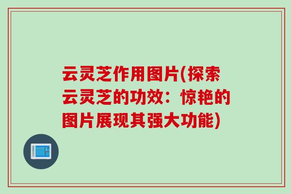 云灵芝作用图片(探索云灵芝的功效：惊艳的图片展现其强大功能)