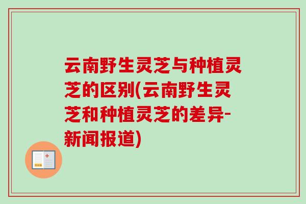 云南野生灵芝与种植灵芝的区别(云南野生灵芝和种植灵芝的差异-新闻报道)